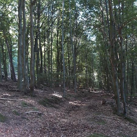 Appartement An Der Bicke Dehringhausen Eksteriør bilde