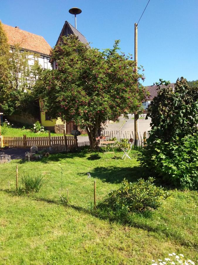 Appartement An Der Bicke Dehringhausen Eksteriør bilde