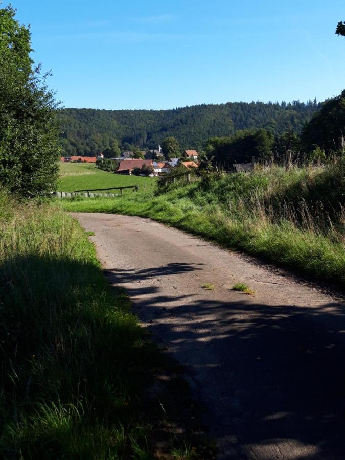 Appartement An Der Bicke Dehringhausen Eksteriør bilde